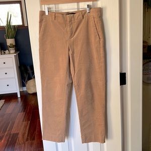Banana Republic Avery corduroy pant in camel